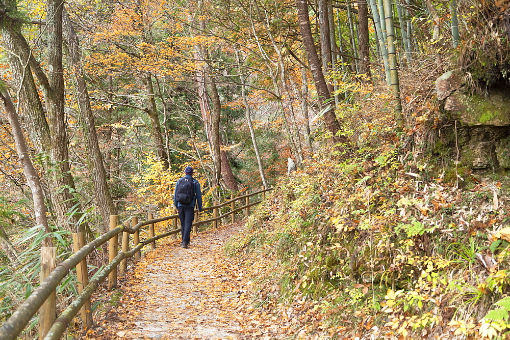 Man hiking forest on Nakasendo Way, Tsumago, Gifu Prefecture, Honshu, Japan, Asia