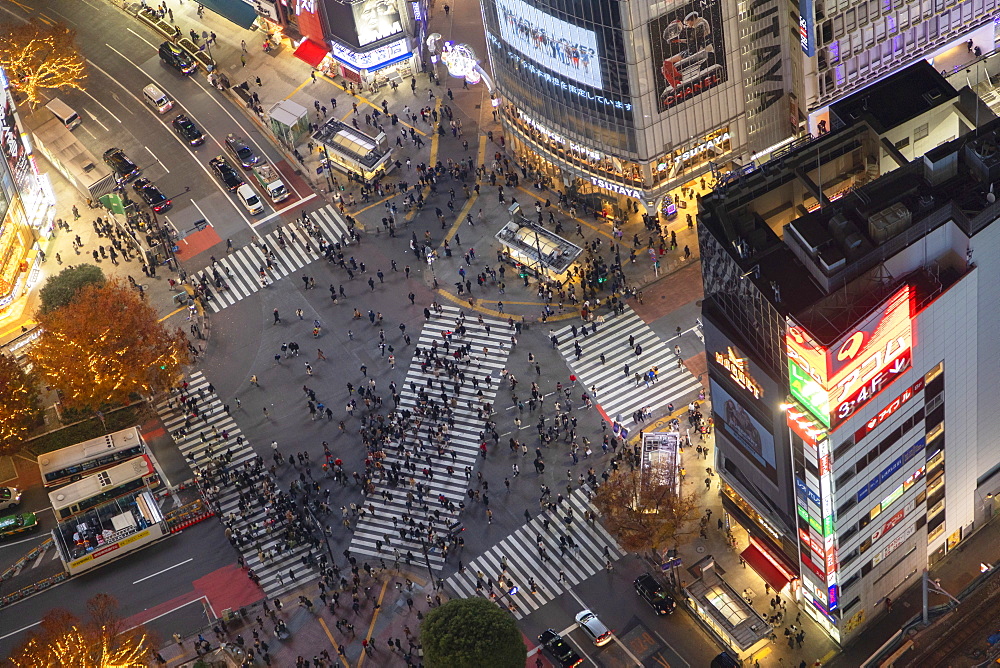 Shibuya Crossing at night, Shibuya, Tokyo, Honshu, Japan, Asia