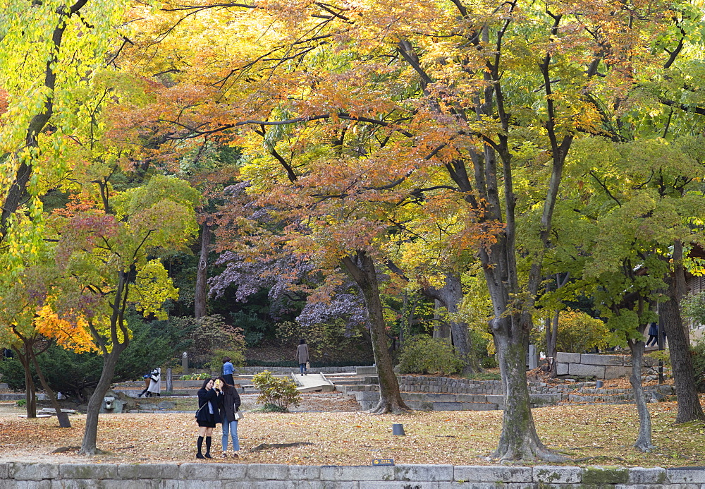 Secret Garden in Changdeokgung Palace, UNESCO World Heritage Site, Seoul, South Korea, Asia