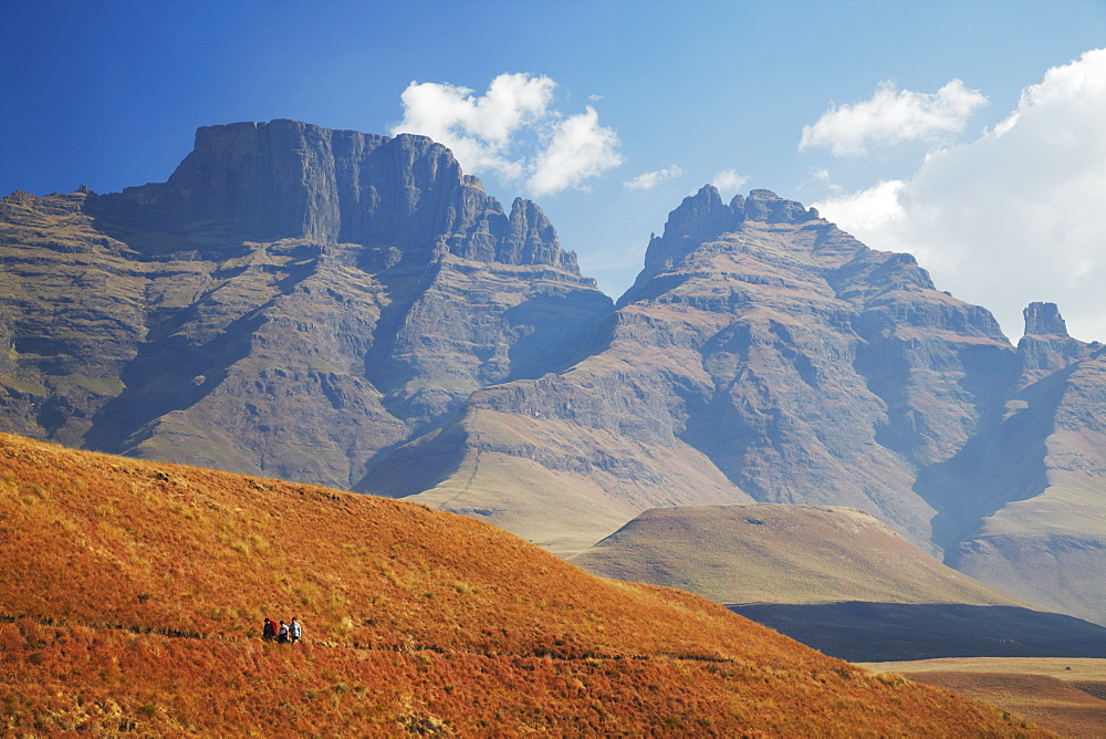 People hiking in Monk's Cowl Nature Reserve with Champagne Castle in background, Ukhahlamba-Drakensberg Park, UNESCO World Heritage Site, KwaZulu-Natal, South Africa, Africa