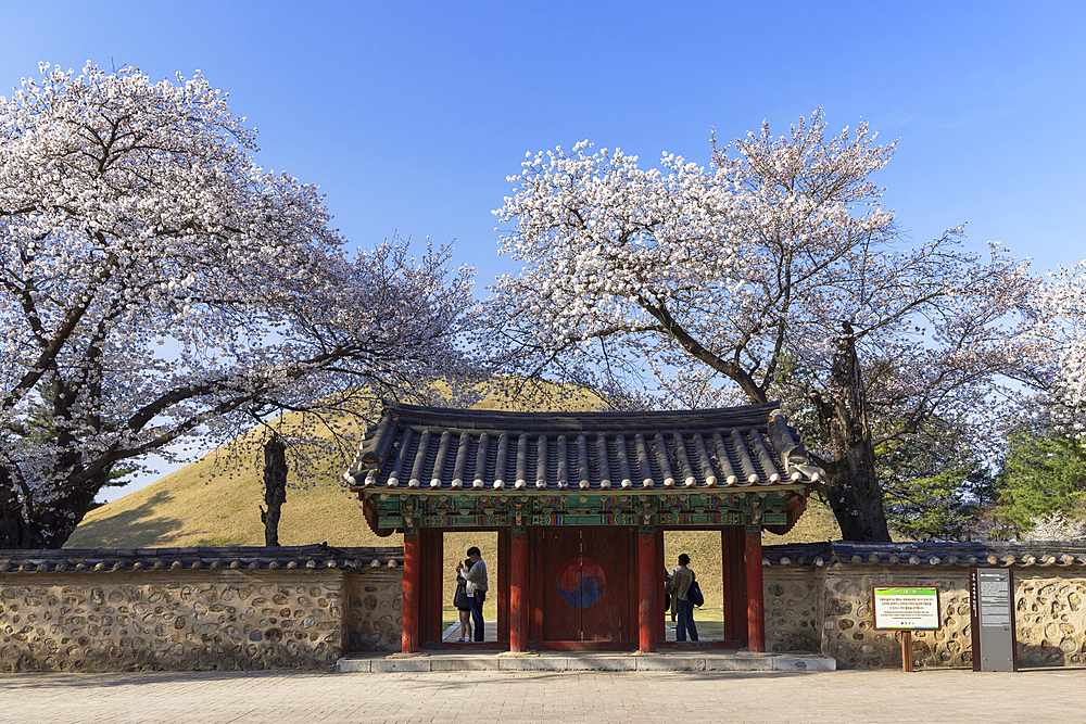 Royal Tomb of King Michu in Daereungwon Tomb Complex, UNESCO World Heritage Site, Gyeongju, South Korea, Asia