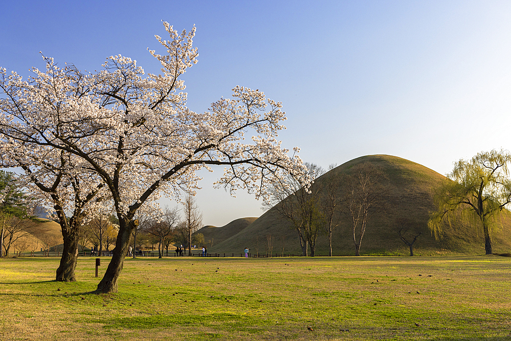 Daereungwon Tomb Complex, UNESCO World Heritage Site, Gyeongju, South Korea, Asia