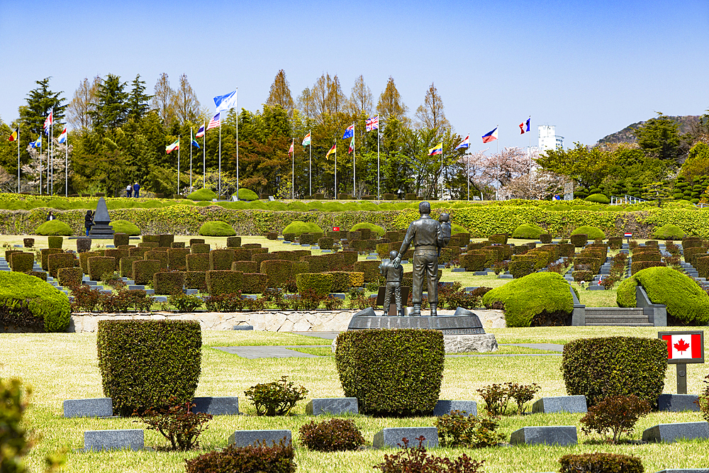 UN Memorial Cemetery, Busan, South Korea, Asia