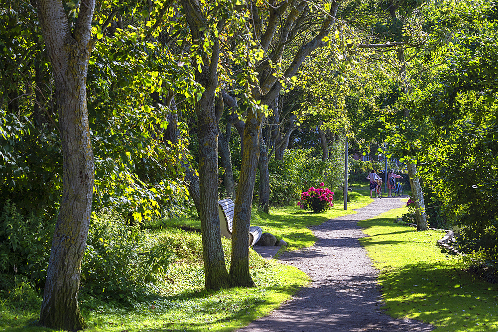 Women with bicycles in park, Wenningstedt, Sylt, Schleswig Holstein, Germany