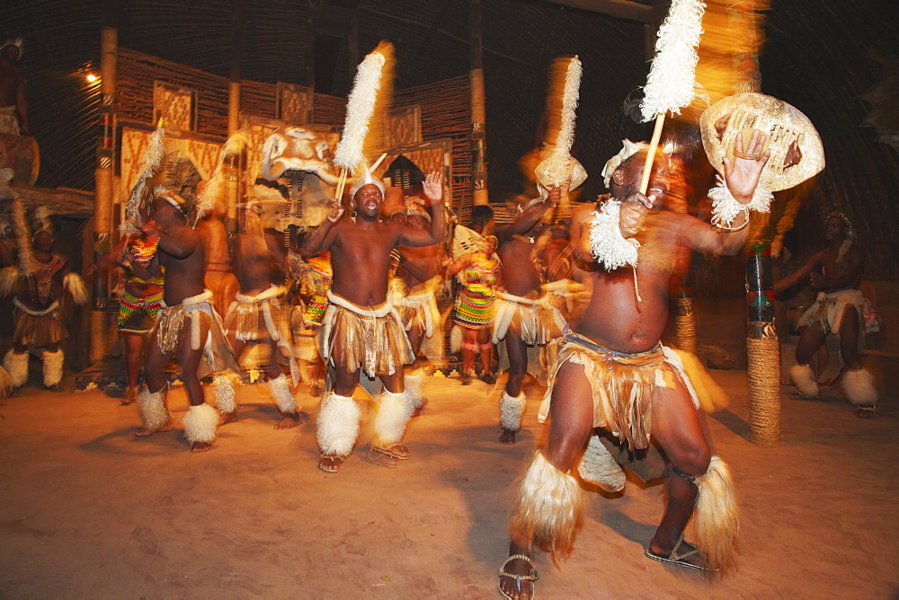 Dancers performing traditional Zulu dance, Shakaland, Eshowe, Zululand, KwaZulu-Natal, South Africa, Africa