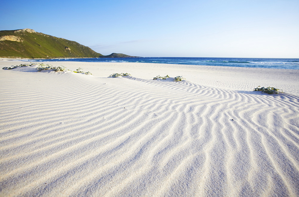 Conspicuous Cliffs beach, Walpole, Western Australia, Australia, Pacific