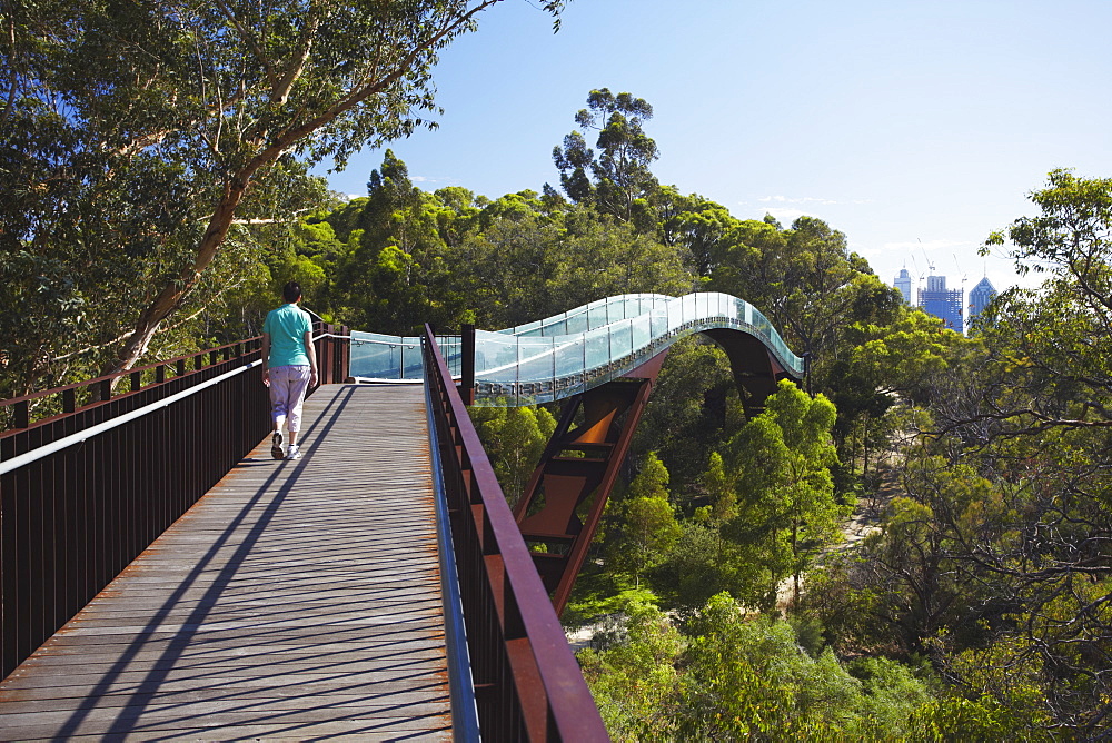 Person walking on Lotterywest Federation Walkway in King's Park, Perth, Western Australia, Australia, Pacific