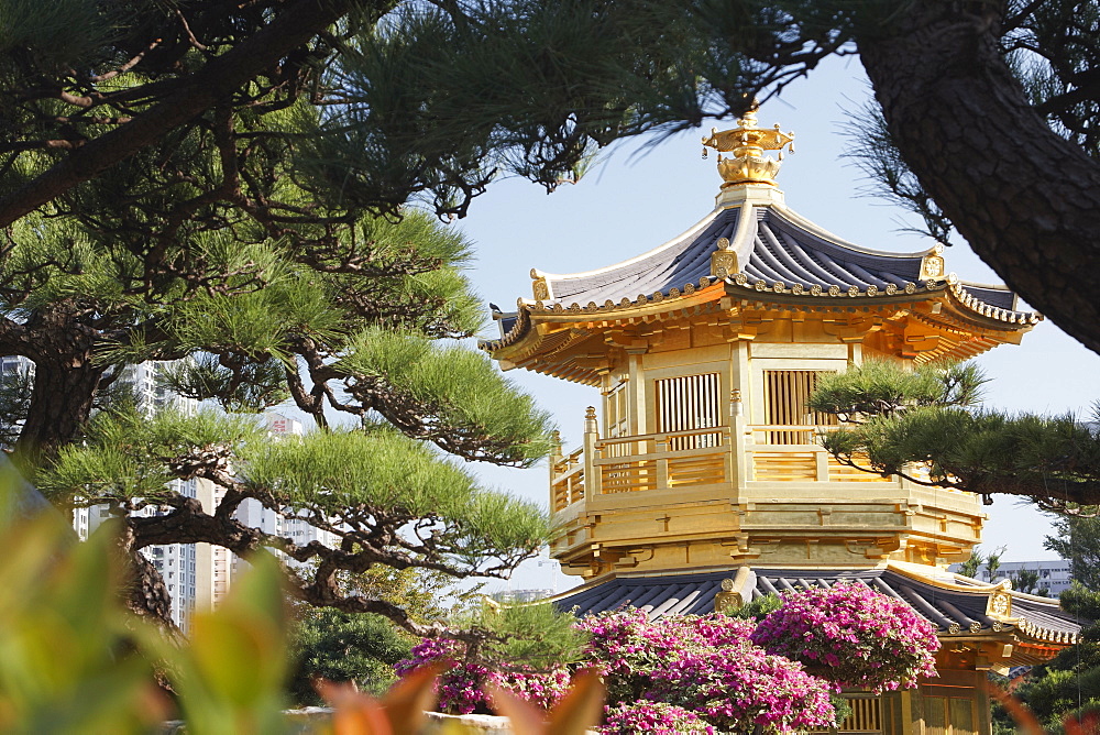 Golden Pagoda in Nan Lian Garden near Chi Lin Nunnery, Diamond Hill, Kowloon, Hong Kong, China, Asia