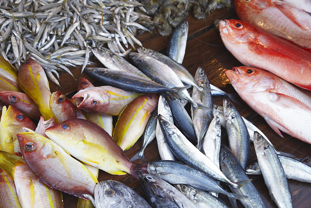 Fish at market, Weligama, Southern Province, Sri Lanka, Asia