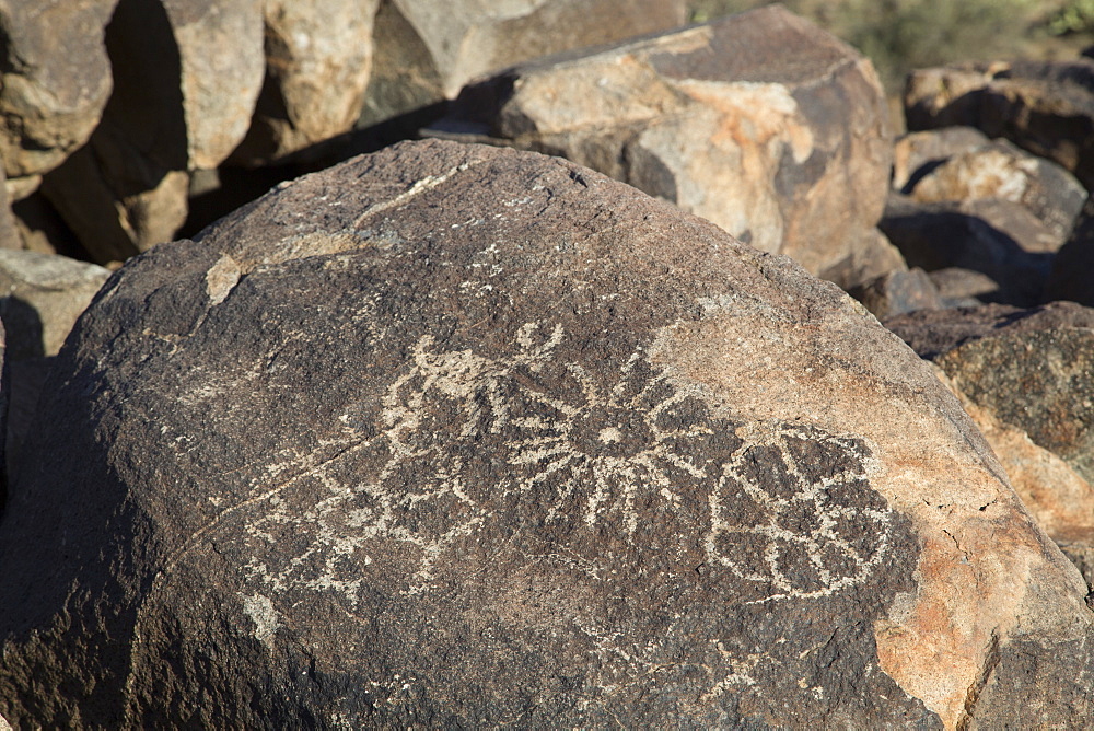 Petroglyphs, created by the prehistoric Hohokam people, about 1000 years ago, West-Tucson Mountain District, Saguaro National Park, Arizona, United States of America, North America