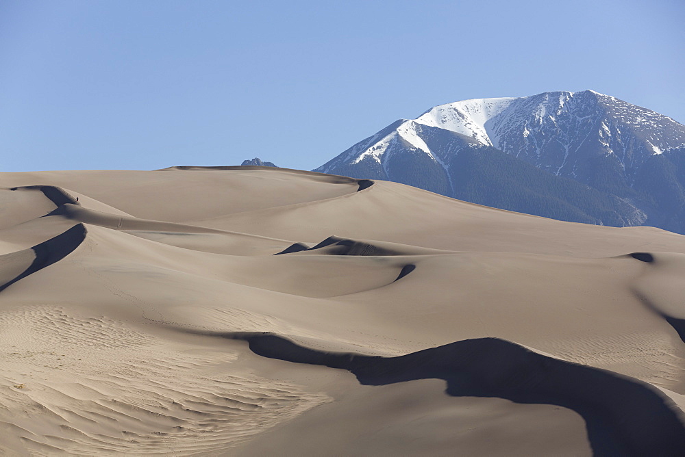 Sand dunes, Great Sand Dunes National Park and Preserve, with Sangre Cristo Mountains in the background, Colorado, United States of America, North America