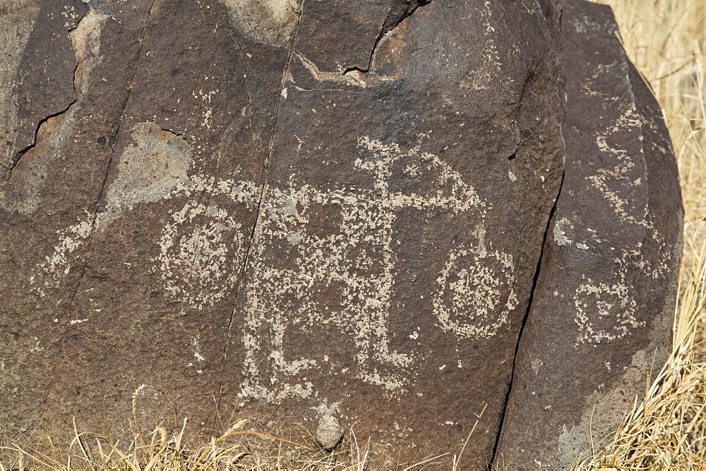 Bureau of Land Management, Three Rivers Petroglyph Site, rock carvings created by the Jornada Mogollon people during the 15th century, New Mexico, United States of America, North America