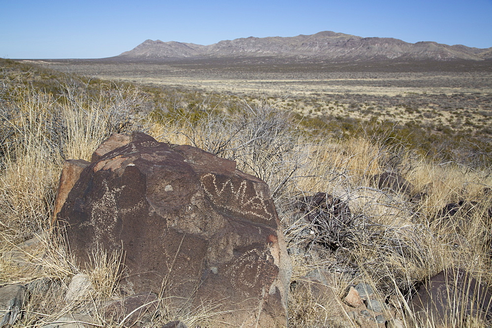 Bureau of Land Management, Three Rivers Petroglyph Site, rock carvings created by the Jornada Mogollon people during the 15th century, New Mexico, United States of America, North America