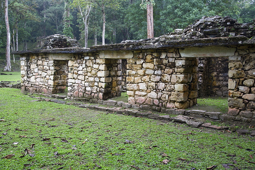 Structure 16, Mayan Archaeological Site, Yaxchilan, Chiapas, Mexico, North America