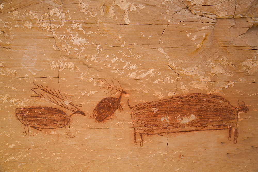 Pictograph Panel, Horseshoe Shelter Site, Barrier Canyon Style, Horseshoe Canyon, Canyonlands National Park, Utah, United States of America, North America