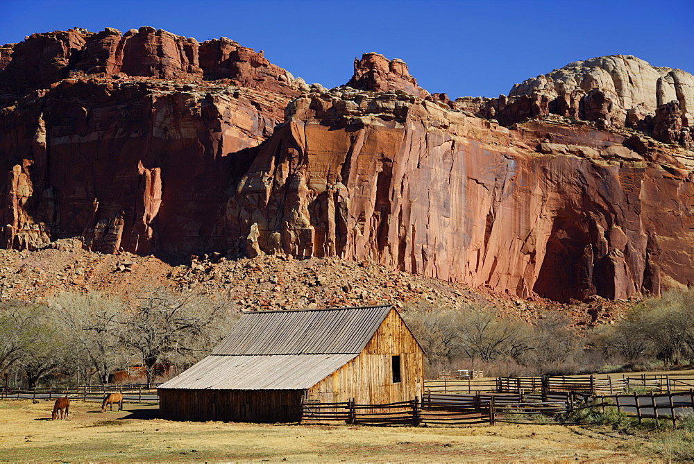 Historic Gifford Homestead Barn dating from 1908, Capitol Reef National Park, Utah, United States of America, North America