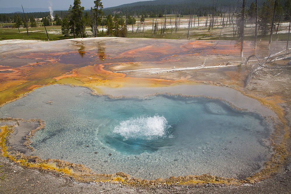 Firehole Spring, Firehole Lake Drive, Yellowstone National Park, UNESCO World Heritage Site, Wyoming, United States of America, North America