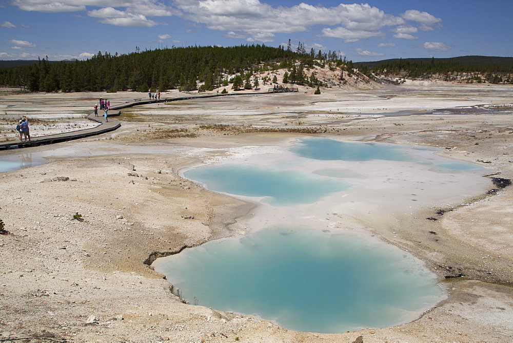 Porcelain Basin, Norris Geyser Basin, Yellowstone National Park, UNESCO World Heritage Site, Wyoming, United States of America, North America