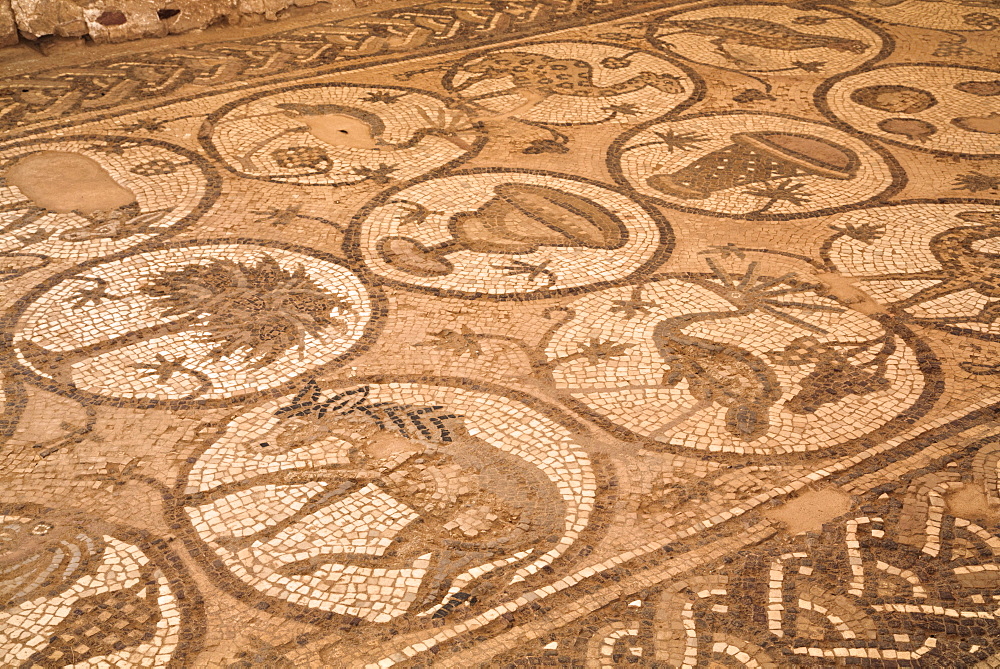 Floor mosaics, Petra Church (Byzantine Church), built between the 5th and 7th centuies AD, Petra, UNESCO World Heritage Site, Jordan, Middle East