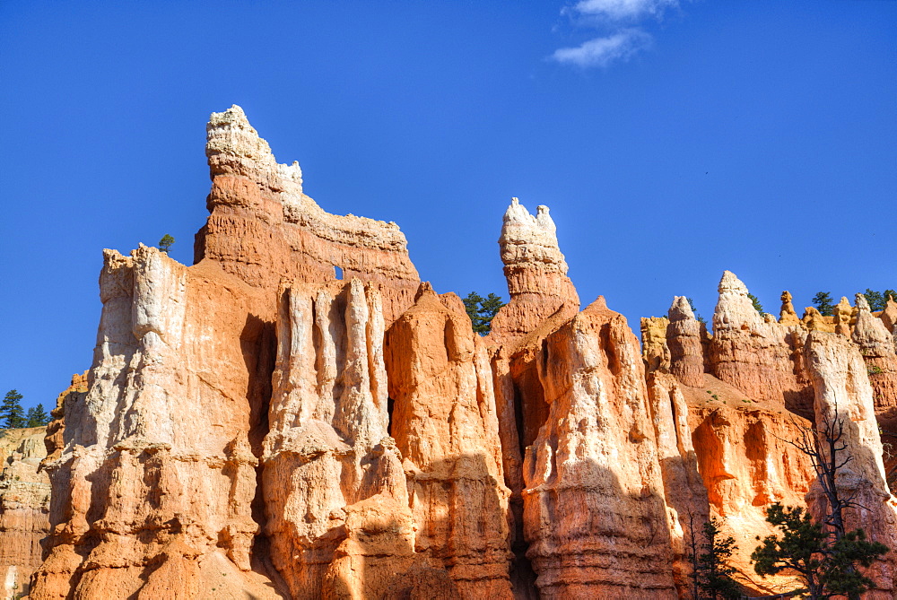 Hoodoos, on the Queens Garden Trail, Bryce Canyon National Park, Utah, United States of America, North America