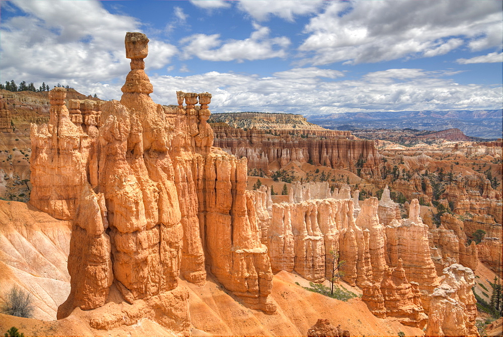 Hoodoos, on the Queens Garden Trail, Bryce Canyon National Park, Utah, United States of America, North America