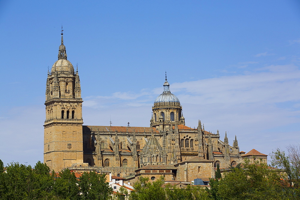 Cathedral of Salamanca, Salamanca, UNESCO World Heritage Site, Castile y Leon, Spain, Europe