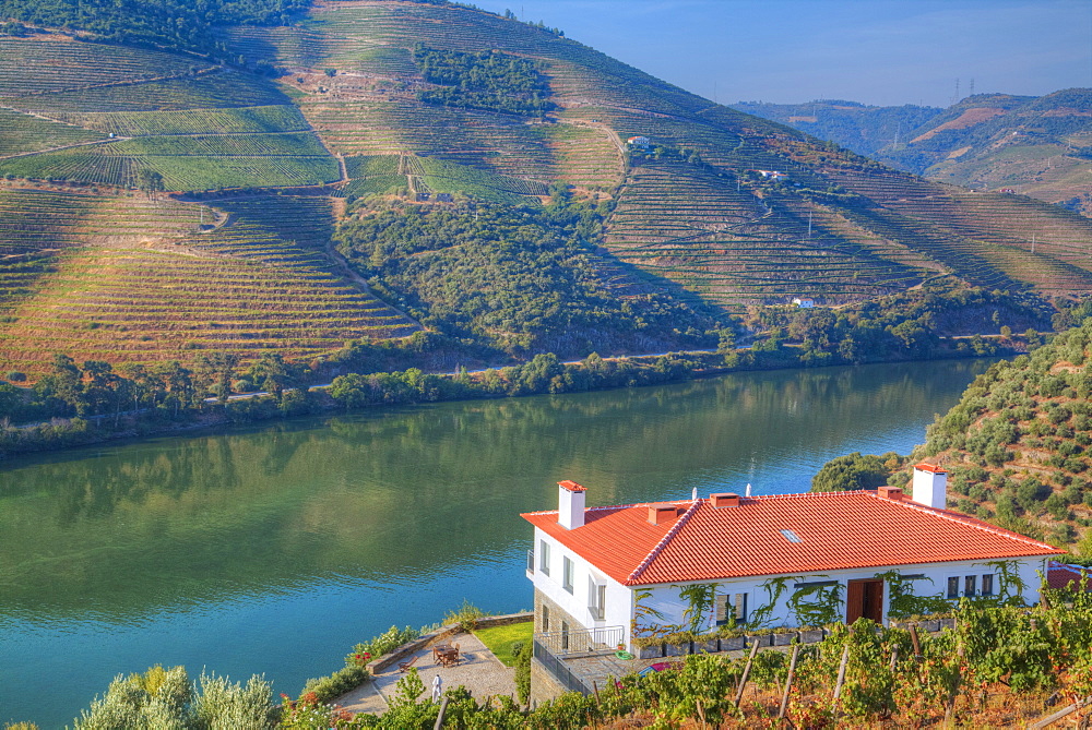 Quinta da Marka overlooking the Douro River, Alto Douro Wine Valley, UNESCO World Heritage Site, Portugal, Europe