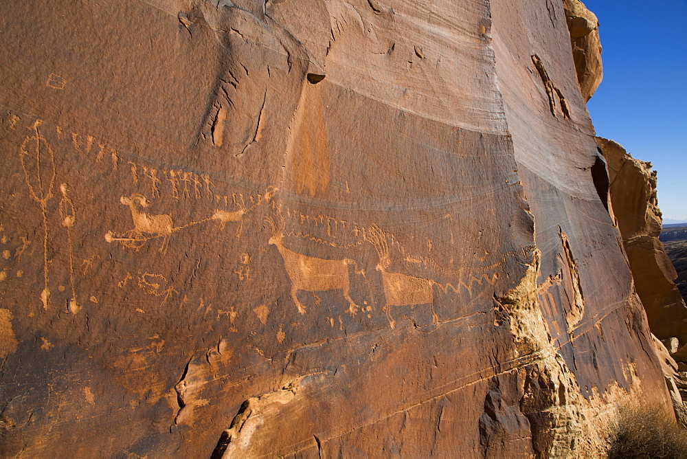 Petrogylph, Procession Panel, Butler Wash, Shash Jaa National Monument, Utah, United States of America, North America