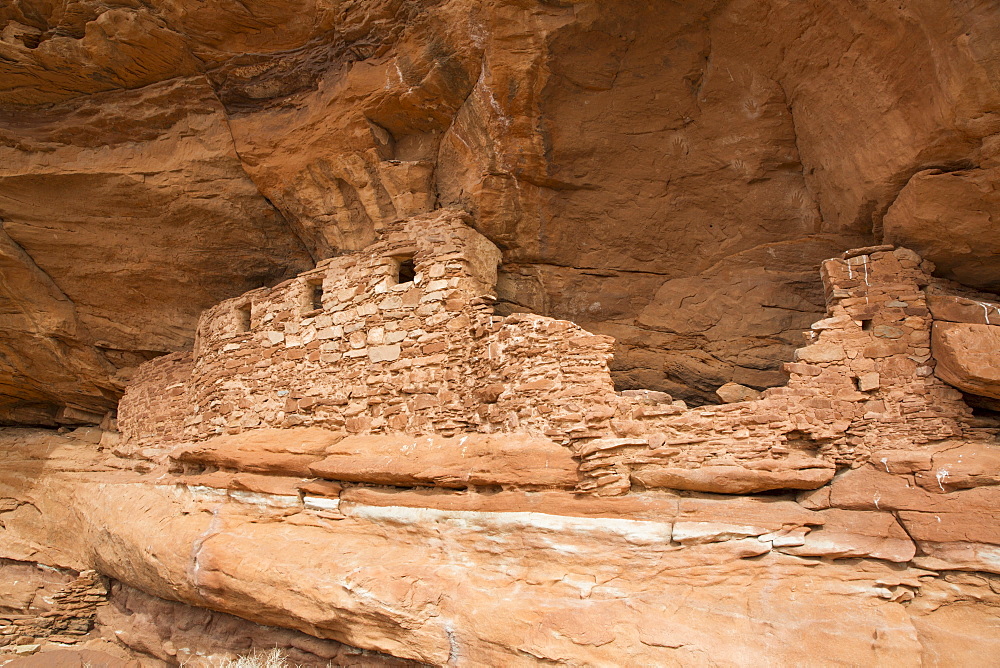 Four Windows Ruins, Ancestral Pueblo, up to 1000 years old, Lower Fish Creek, Bears Ears National Monument, Utah, United States of America, North America