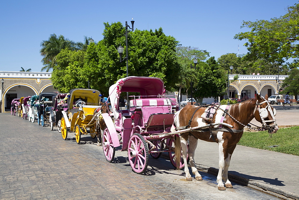 Tourist Horse Carts, Izamal, Yucatan, Mexico, North America