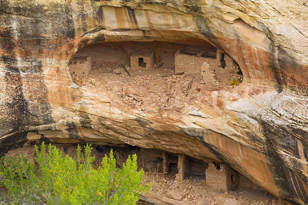 Over Under Anasazi Ruins, Ancestral Pueblo, Bear's Ears National Monument, Utah, United States of America, North America