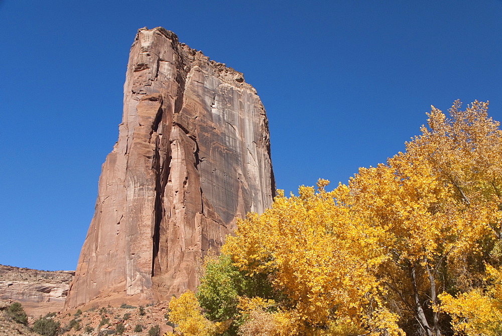 Canyon de Chelly National Monument, Canyon del Muerto in Fall Colors, Arizona, United States of America, North America