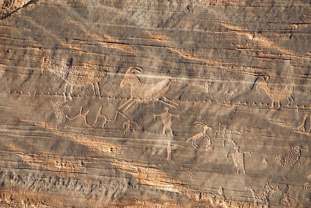 Canyon de Chelly National Monument, Newspaper Rock Petroglyphs, Arizona, United States of America, North America