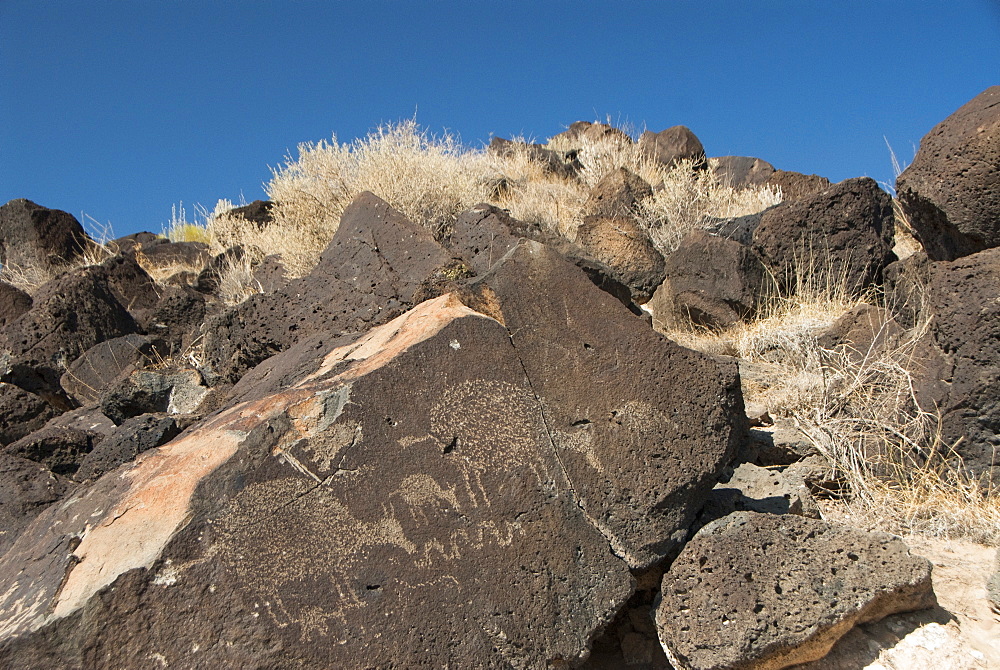 Petroglyph National Monument, petroglyphs carved into volcanic rock by American Indians 400 to 700 years ago, New Mexico, United States of America, North America