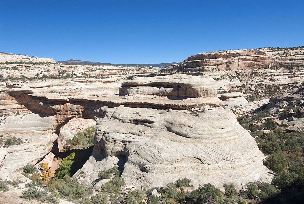 Natural Bridges National Monument, Sipapu Bridge, Utah, United States of America, North America