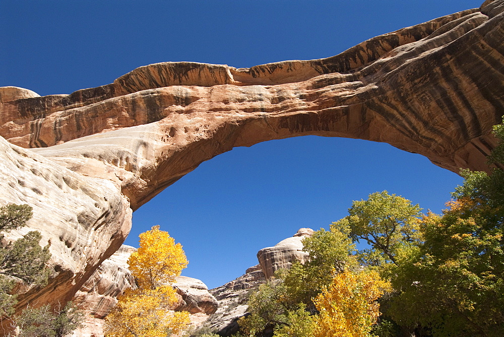 Natural Bridges National Monument, Sipapu Bridge, Utah, United States of America, North America