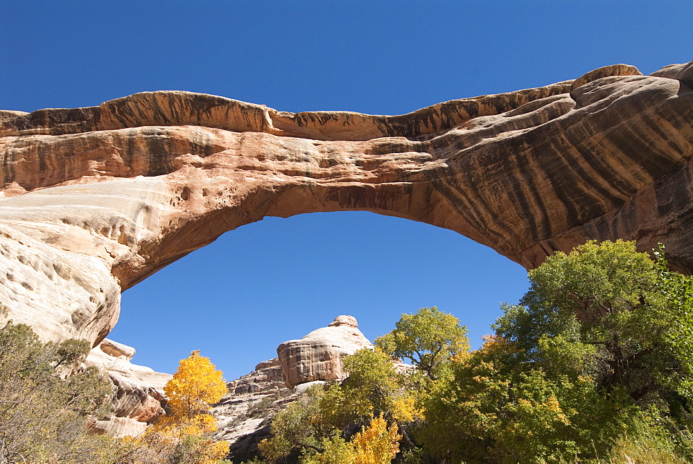 Natural Bridges National Monument, Sipapu Bridge, Utah, United States of America, North America