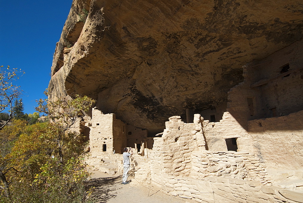 Mesa Verde National Park, Spruce Tree House, UNESCO World Heritage Site, Colorado, United States of America, North America 