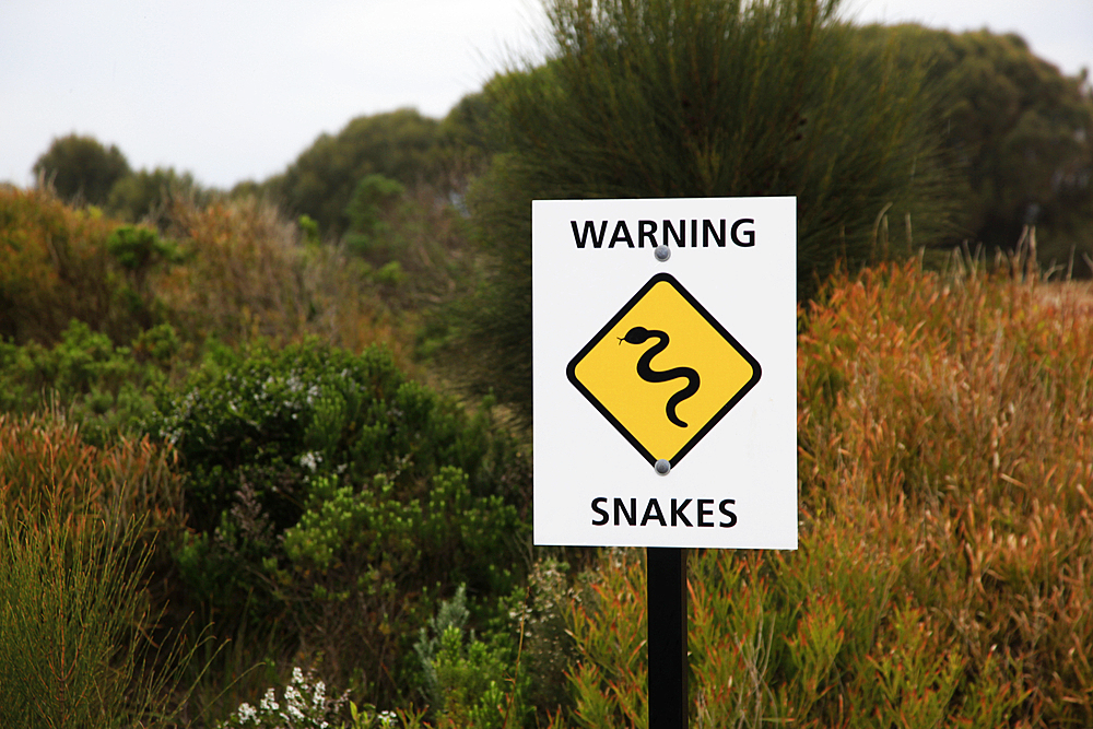 Warning Snakes sign, Watch out for snakes, rural Victoria, Australia, Pacific