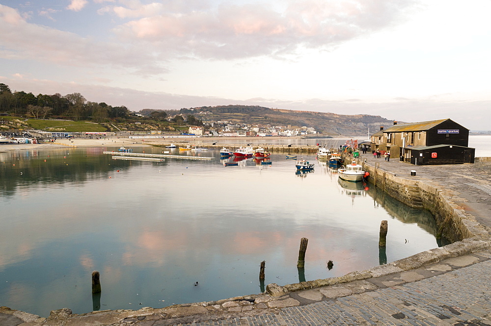 View back to the harbour at Lyme Regis taken from the Cobb, Dorset, England, United Kingdom, Europe