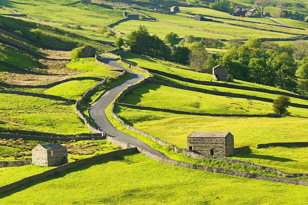 View of traditional stone barns and walls near Thwaite in Swaledale, Yorkshire, England, United Kingdom, Europe