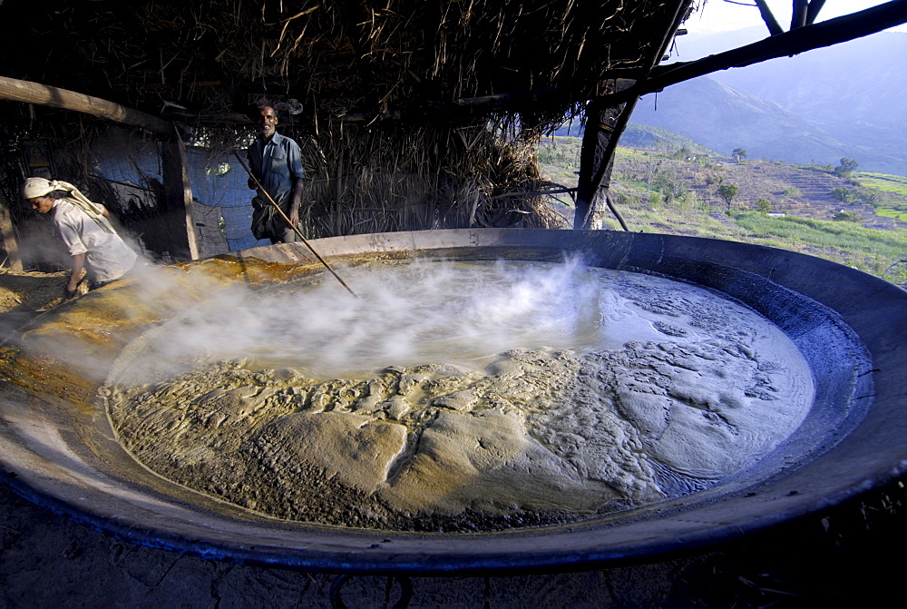 Making jaggery from sugar cane juice, Koviloor, near Munnar, Kerala, India, Asia