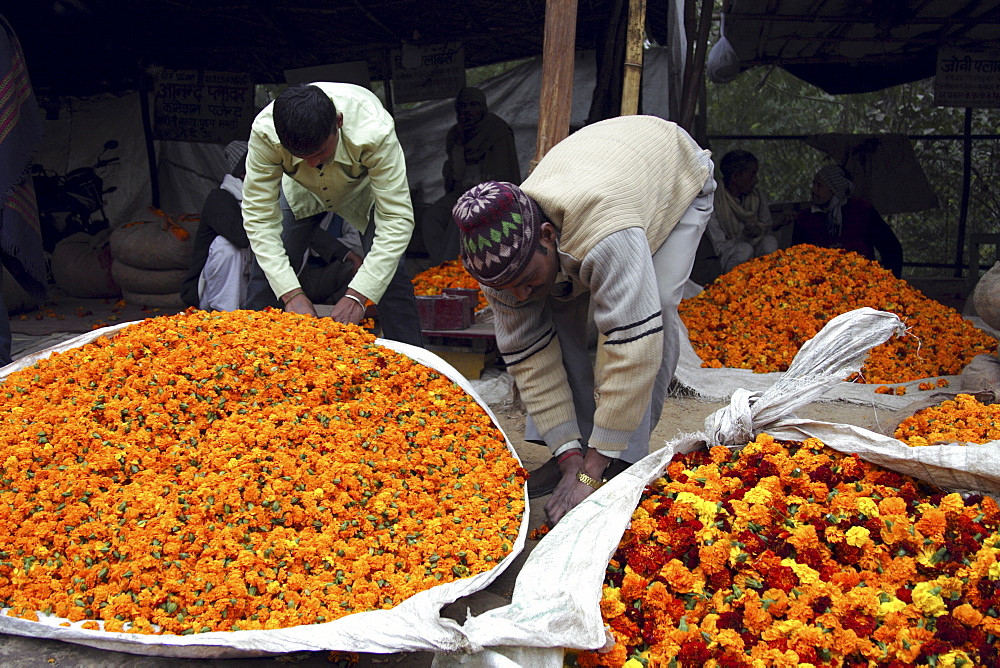 Flower vendors, Delhi, India, Asia