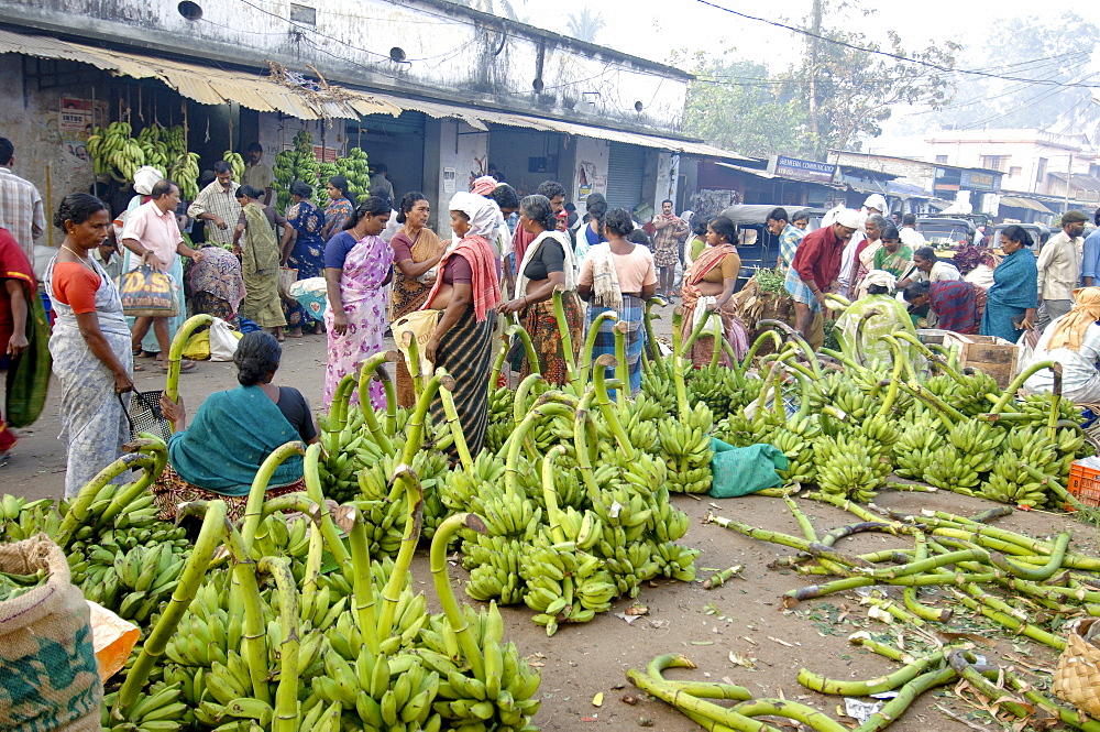 Plantains for sale at vegetable market, Chalai, Trivandrum, Kerala, India, Asia