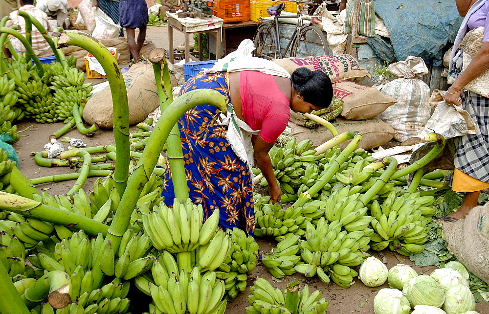 Vegetable market, Chalai, Trivandrum, Kerala, India, Asia