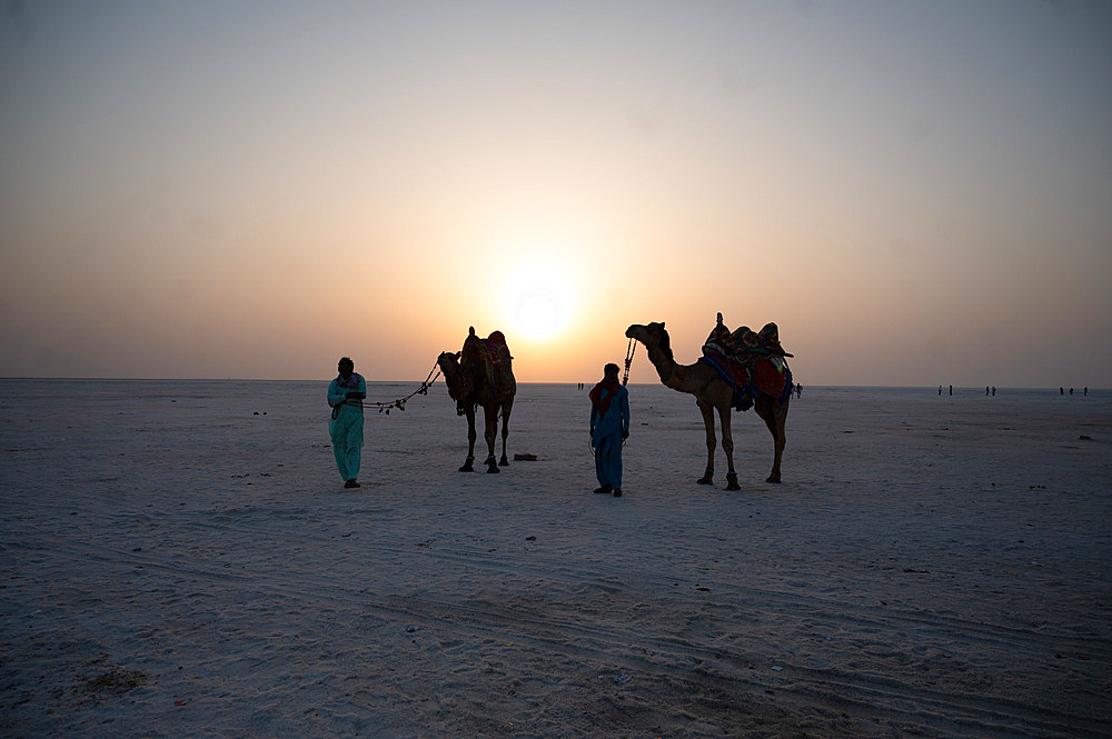 Camels with their mahouts waiting to take guests on sunset safaris in the White Desert area of Kachchh