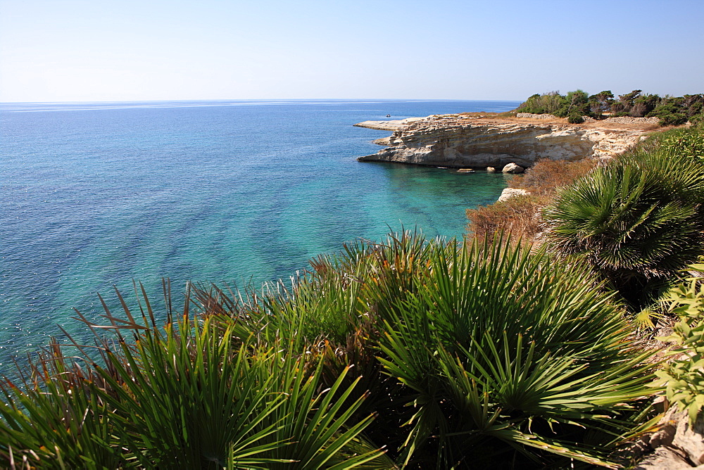 Coast near Cassibile, Siracusa Province, Sicily, Italy, Mediterranean, Europe