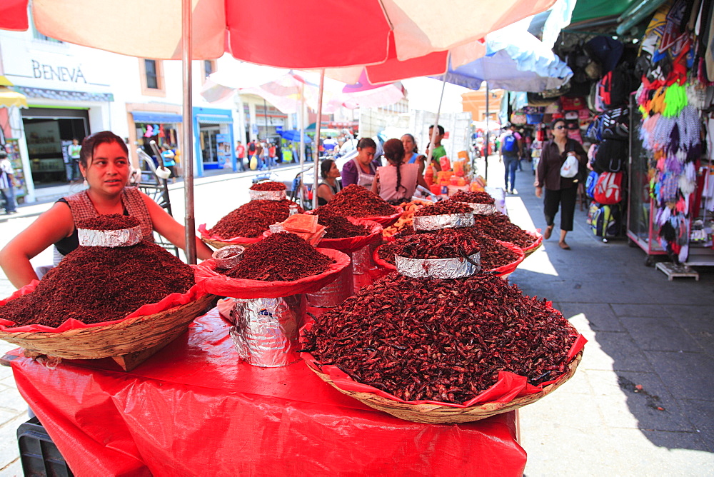 Vendor selling chapulines (fried grasshoppers), Oaxaca City, Oaxaca, Mexico, North America