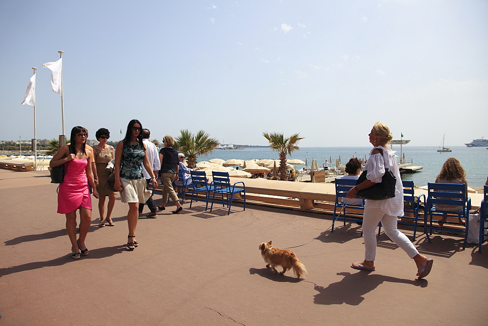 La Croisette, Cannes, Cote d'Azur, Alpes Maritimes, Provence, French Riviera, France, Mediterranean, Europe