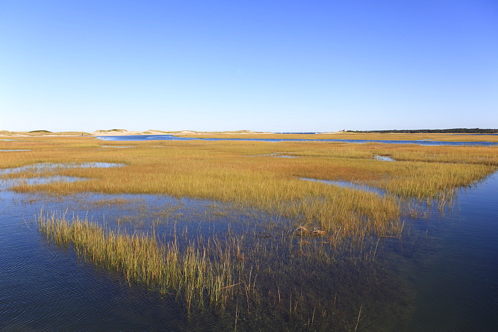 Salt Marsh, Sandwich, Cape Cod, Massachusetts, New England, United States of America, North America